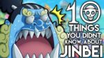 Top 10 Facts about Jimbei That You Might Don't Know!